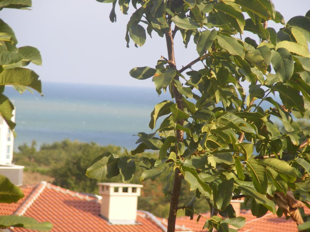 Guest House "Zora - Sarafovo" Burgas Luaran gambar